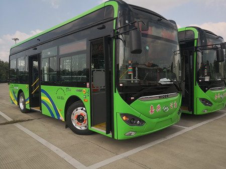 2020年445號(hào)信息2.jpg